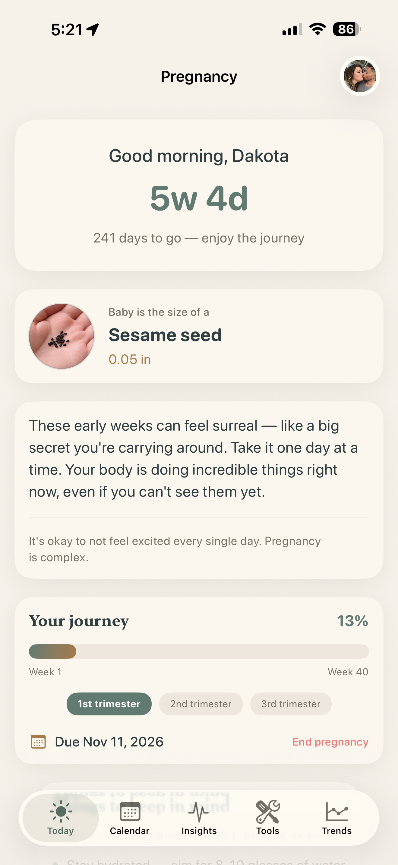 Pregnancy dashboard with baby size and trimester progress