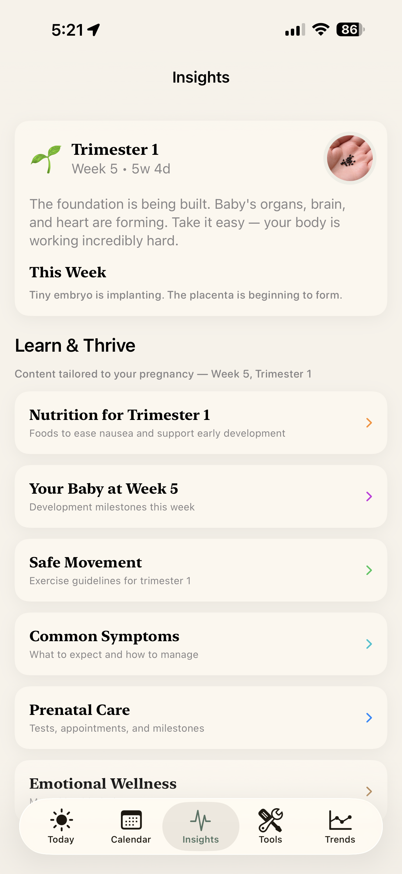 Weekly pregnancy insights and development updates